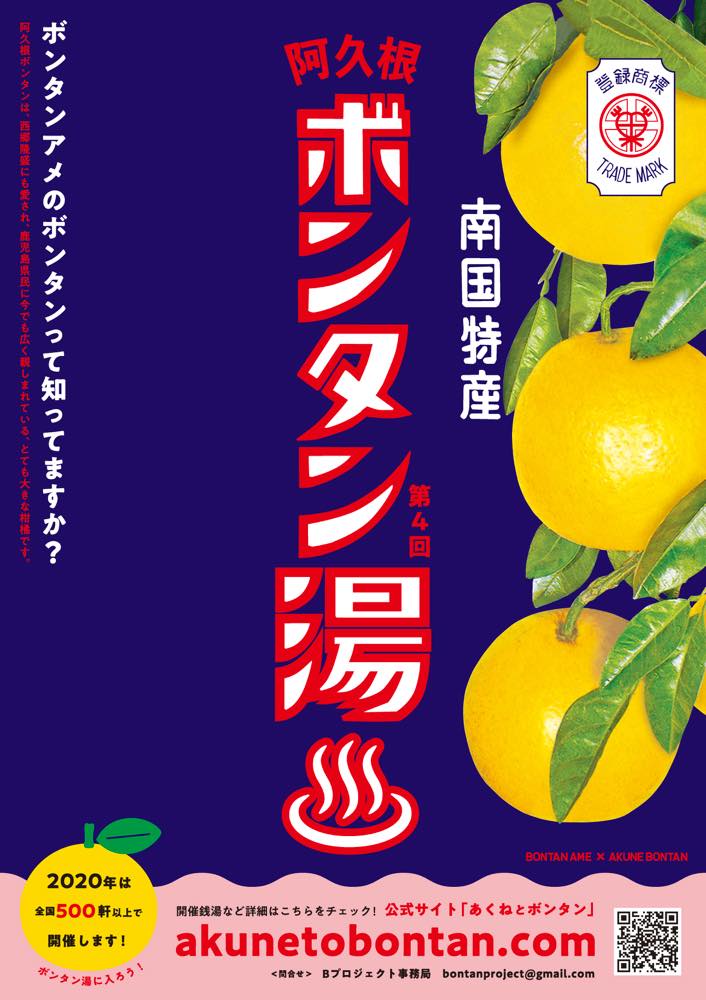 の写真